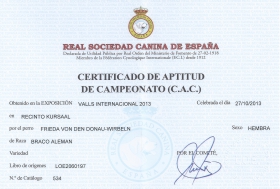 Certificado de actitud de campeonato (C.A.C) Valls Internacional 2014